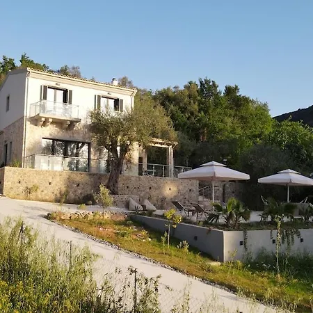 Art Olga Вилла *