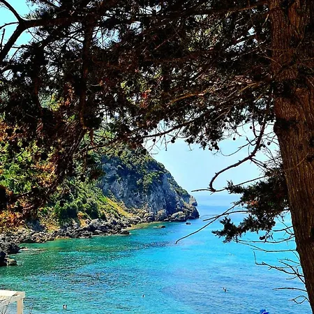 Art Olga * Βάτος